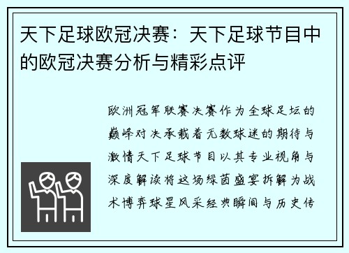 天下足球欧冠决赛：天下足球节目中的欧冠决赛分析与精彩点评