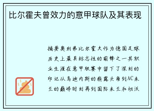 比尔霍夫曾效力的意甲球队及其表现
